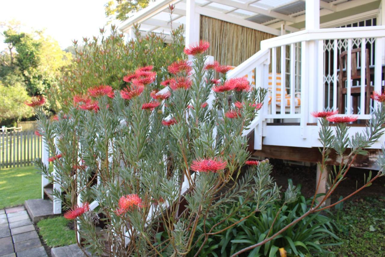 Hotel 14 Mount Joy Knysna Esterno foto