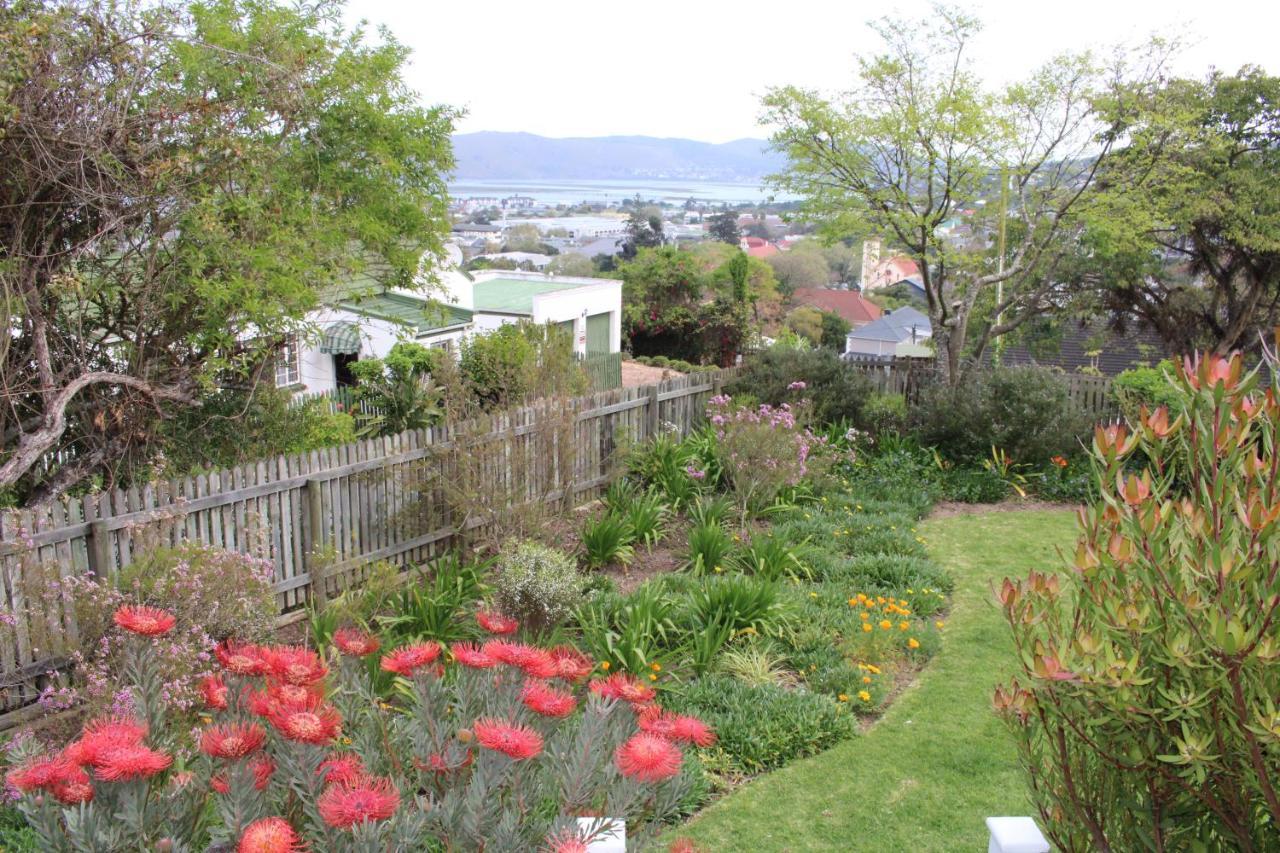 Hotel 14 Mount Joy Knysna Esterno foto